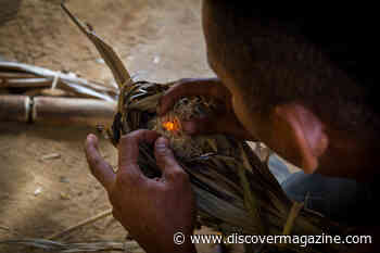 The Dawn of Fire: When Did Early Humans First Discover Fire?