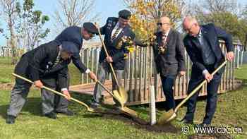 City of Winnipeg opens latest round of funding for tree planting