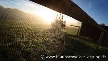 Niedersachsen-Wetter: Dieser Trend „lässt einfach nicht locker“