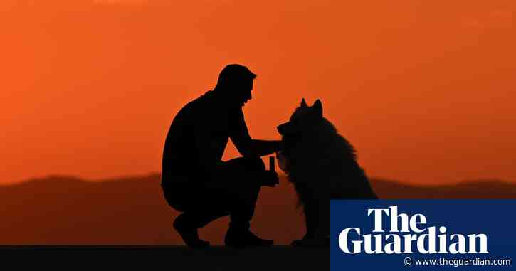 Calls to ban star YouTube trainer ‘Dog Daddy’ who promotes prong collars from entering Australia