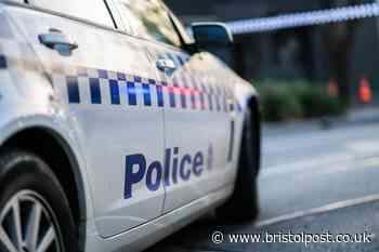 British crocodile expert admits raping dogs in Australia