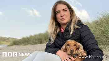 Fflecsi Bwcabus: Concerns over the end of 'lifeline' bus service