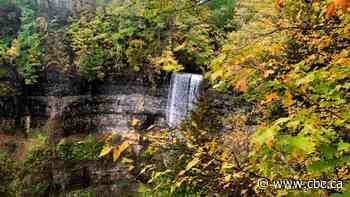 Visiting Dundas Peak or Webster Falls? You'll have to pay to reserve a spot