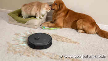 Tierhaarbekämpfung: Der neue eufy Clean X8 Pro Saugroboter mit Doppel-Turbine