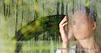 How to stop condensation forming on your windows every morning - and what causes it