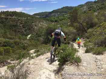 Dans la vallée de la Roya, les pistes de VTT vont être réhabilitées pour favoriser le tourisme vert