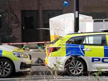 Flowers left at scene after girl stabbed to death in Croydon