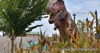 'Everyone is in a dinosaur mood': How prehistoric giants took over downtown Wheaton