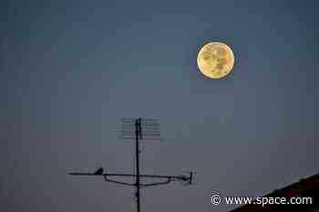 Harvest moon 2023, the last supermoon of the year, kicks off fall stargazing on Sept. 29
