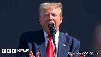 Fact-checking Donald Trump's claim that wind turbines kill whales