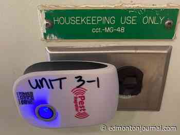 Mice infestation a growing concern for patients at Edmonton mental hospital