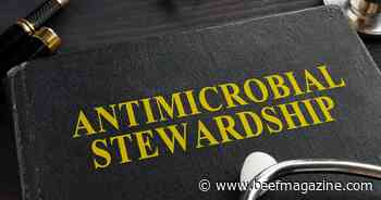 FDA seeks to define use durations for certain antimicrobials for livestock