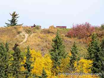 Edmonton weather: Let there be rain (and maybe frost)