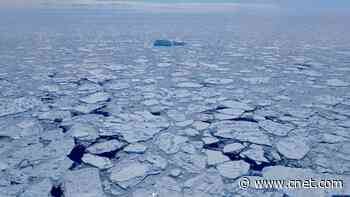 Antarctica Logs 'Record-Smashing' Low for Sea Ice, Says NASA     - CNET