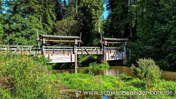 Altensteiger Finanzen: Mehr Schulden wegen Wasserstube und Rössle