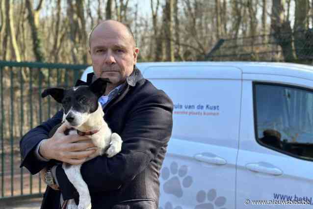 Vrouw die hond ‘doodschopte’ veroordeeld: “Maar ze is al gespot met nieuwe hond”