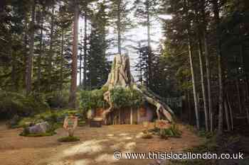 Airbnb Shrek Swamp Scotland: How to stay this Halloween