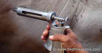 Valid veterinarian-client-patient relationship key to successful cattle health