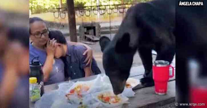 WATCH: Mexican mother bravely shields son as bear leaps on picnic table to devour his birthday enchiladas