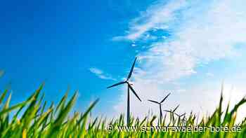 Infoveranstaltung: Windkraft-Pläne der Stadt: Darum sind Bürger verärgert