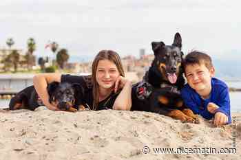 Mathilde et Nicolas, fondateurs de l’association pour les animaux Darwin Forever, sont désormais les héros d'un livre