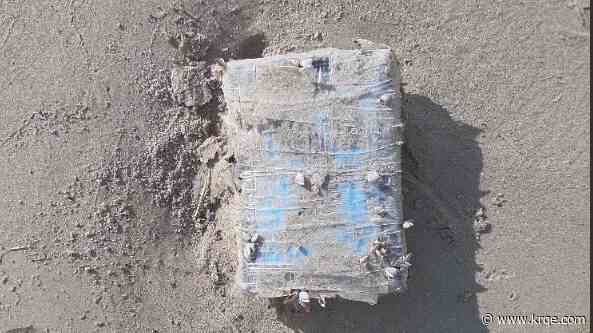 Cocaine bricks wash up on South Texas border beaches, Border Patrol says