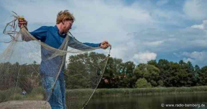 Bio-Karpfen sind immer beliebter