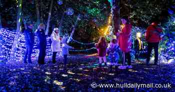 Dazzling new Christmas light show to come to Hull's East Park this December
