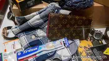 Nationalrat erleichtert die Vernichtung von Piraterieprodukten