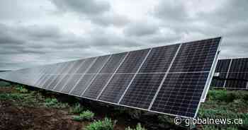 Solar panel array to be built in Saskatoon as part of SaskTel pilot project