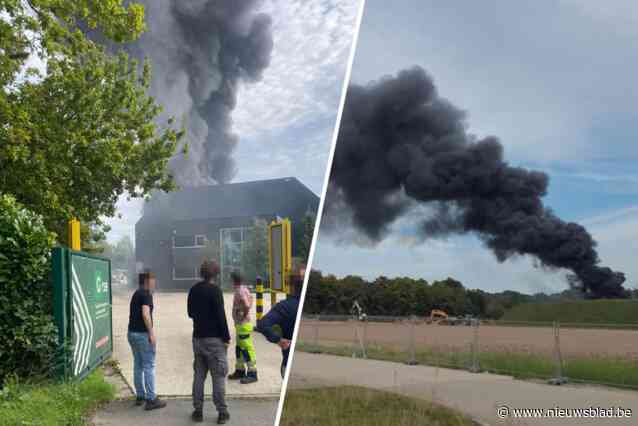 Emmer beschadigde batterijen oorzaak van hevige brand in Schoten: “Vlammen sloegen over op containers uit kunststof”
