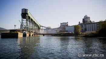 Government to review $8B US takeover of Canadian-based grain-handling firm Viterra