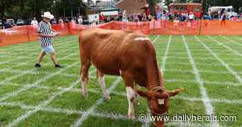 This year's Shermerfest comes at a momentous time for Northbrook Historical Society