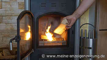 Wie Sie den Kaminofen anheizen, damit es möglichst wenig raucht und Holz verbraucht wird