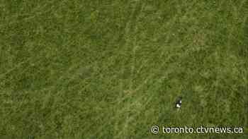 Ontario will not compensate Greenbelt developers, housing minister says