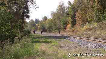 OPP utilizes significant resources in search for missing Bracebridge man