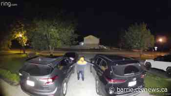 Loaded firearm stolen from police vehicle in East Gwillimbury