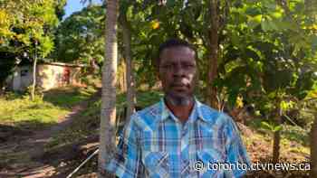 Ontario launches review into workplace injury pay after Jamaican migrant workers win legal battle