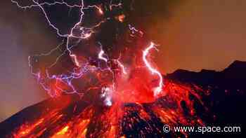 Mammals may be driven to extinction by volcanic new supercontinent Pangaea Ultima