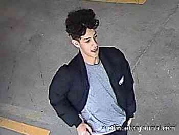 Police seek suspects after pride flag torn down at Edmonton protest clash