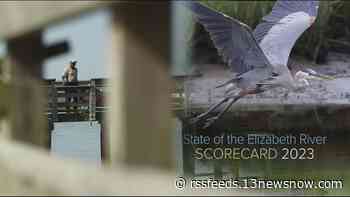 Elizabeth River watershed receives 'C' grade for most recent 2023 State of the River report card