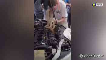 Mechanics find 8-foot snake under hood of car in Myrtle Beach
