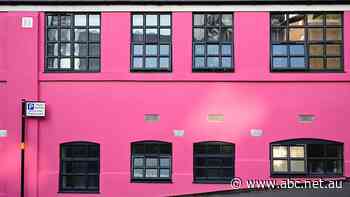 'A very serious worst alternative.' What to do, and what to avoid, if your owners committee is in conflict