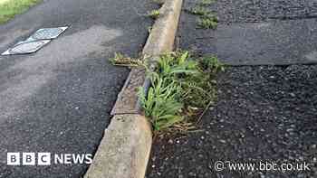 Town council to tackle street weeds over drain block fears