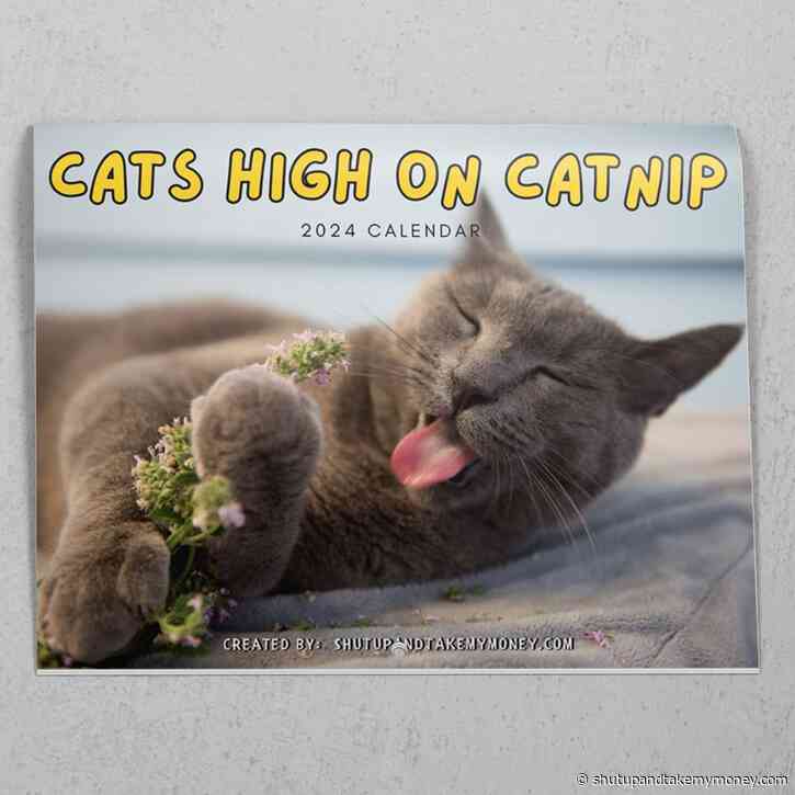 Cats High On Catnip 2024 Calendar