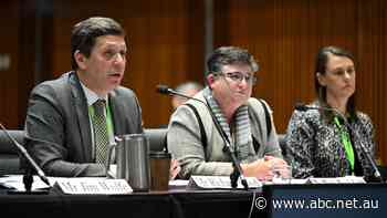 Department heads face grilling at Senate airline inquiry, transport minister asked to appear