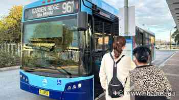 Taskforce charged with fixing Sydney's bus woes looks to Pacific Islands to fill driver vacancies