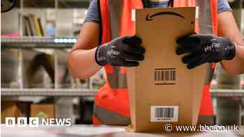 Amazon: US accuses online giant of illegal monopoly