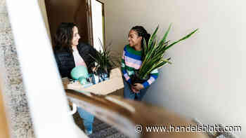 Immobilien: So kräftig steigen die Mieten für Studierendenwohnungen