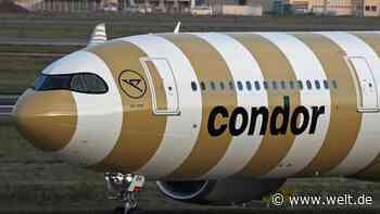 Kuriose Notlandung, zwei Ramm-Unfälle – Condors seltsame Pannen-Serie